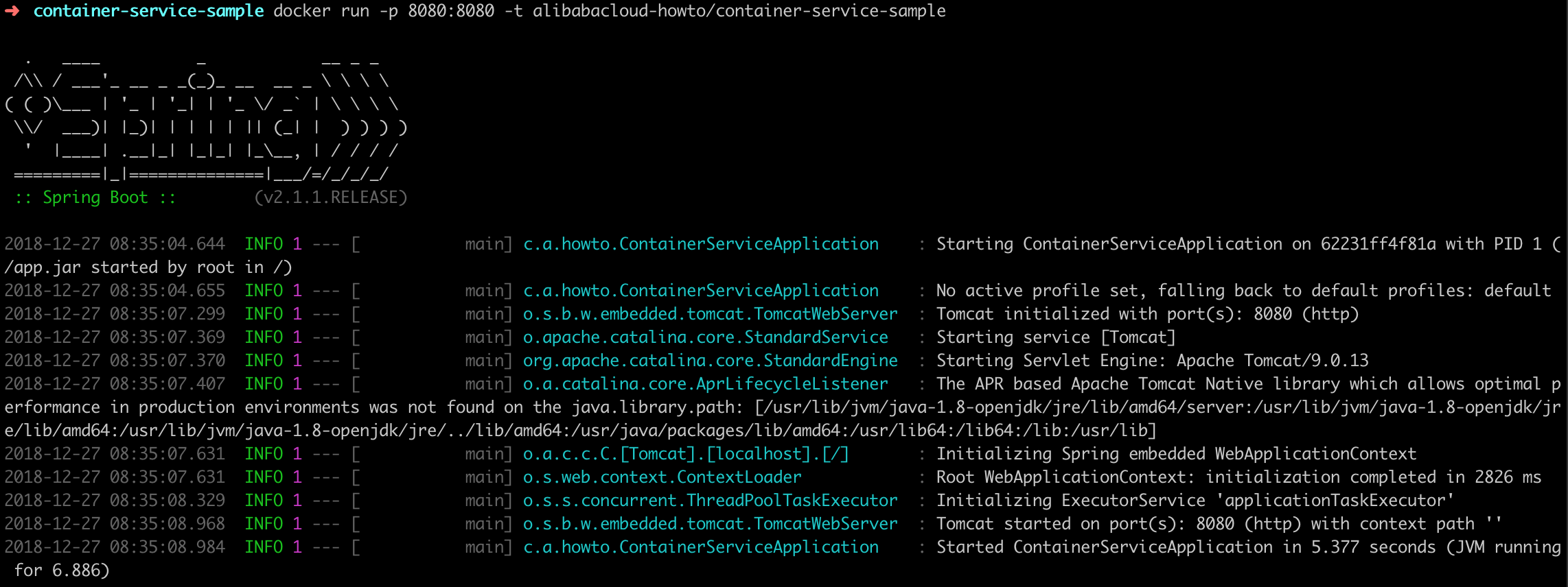 container-service-sample docker image run result